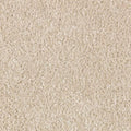 Desert Dust