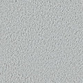 Winter Ash