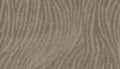 Poised Taupe