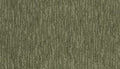 Pine Needle