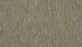 Urban Taupe