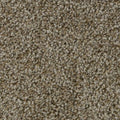 Hickory Tan