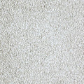 Winter Ash
