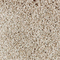 Thatch Roof