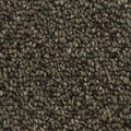 Perfect Taupe