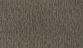 Sedimentary