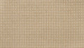 Desert Sand