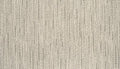 Birch Bark