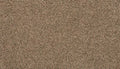 Flax Seed