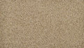 Safari Tan