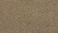 Safari Tan