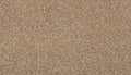 Flax Seed