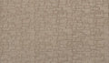 Shadow Taupe