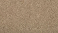 Flax Seed