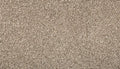 Elk Beige