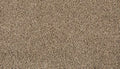 Flax Seed