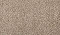 Elk Beige