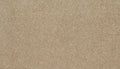 Muted Caramel