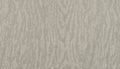 Birch
