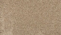 Parchment