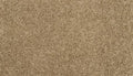 Parchment