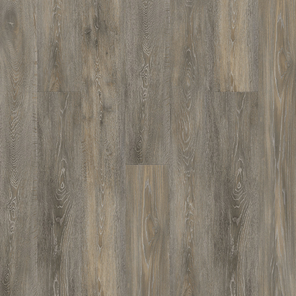 TIMELESS BEAUTY - Asbury - Swatch