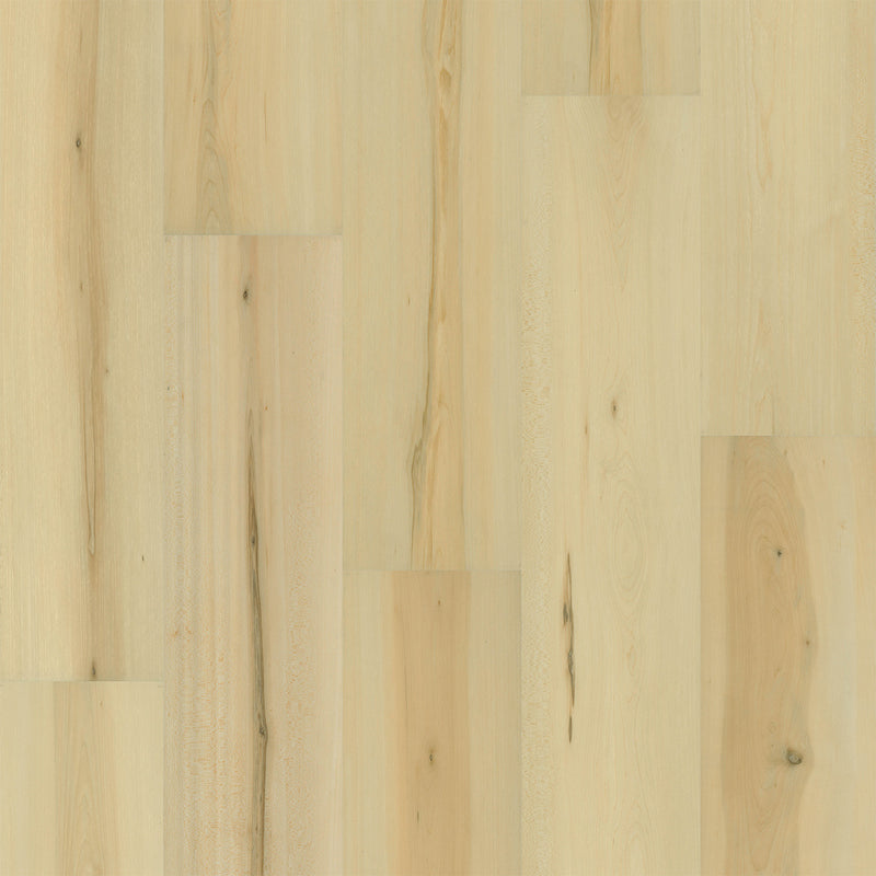 PREFERENCE - Carpenter - Swatch