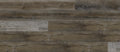Tiger Beige - RECC5302