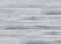Silver Pearl - REGVE5203