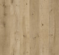 Coastal Ivory