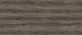 Coyote Brush - REPO4001