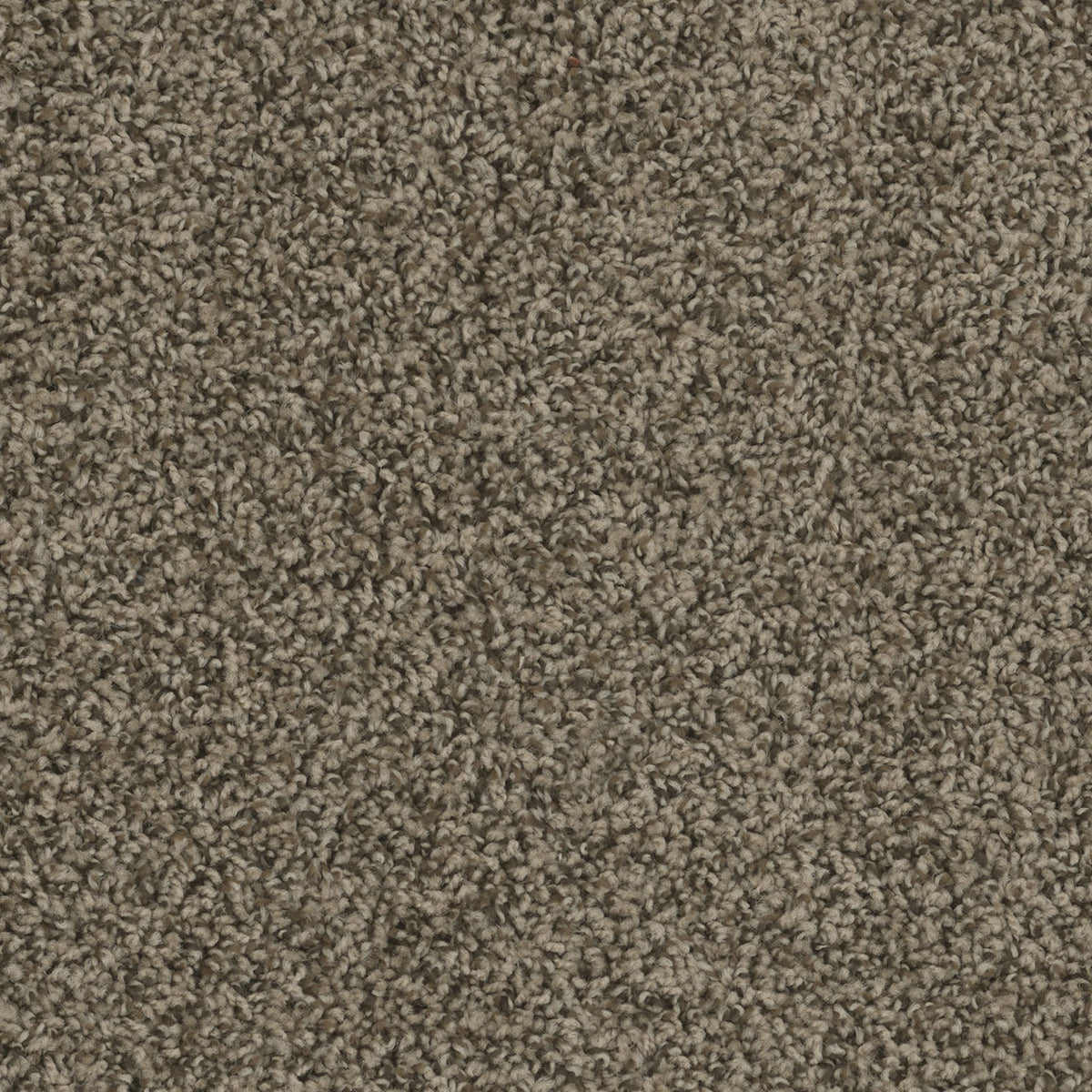 SP250 - Agate - Swatch