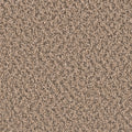Fossil