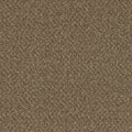 Mocha Beige