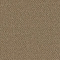 SP251 - Aged Leather - Swatch