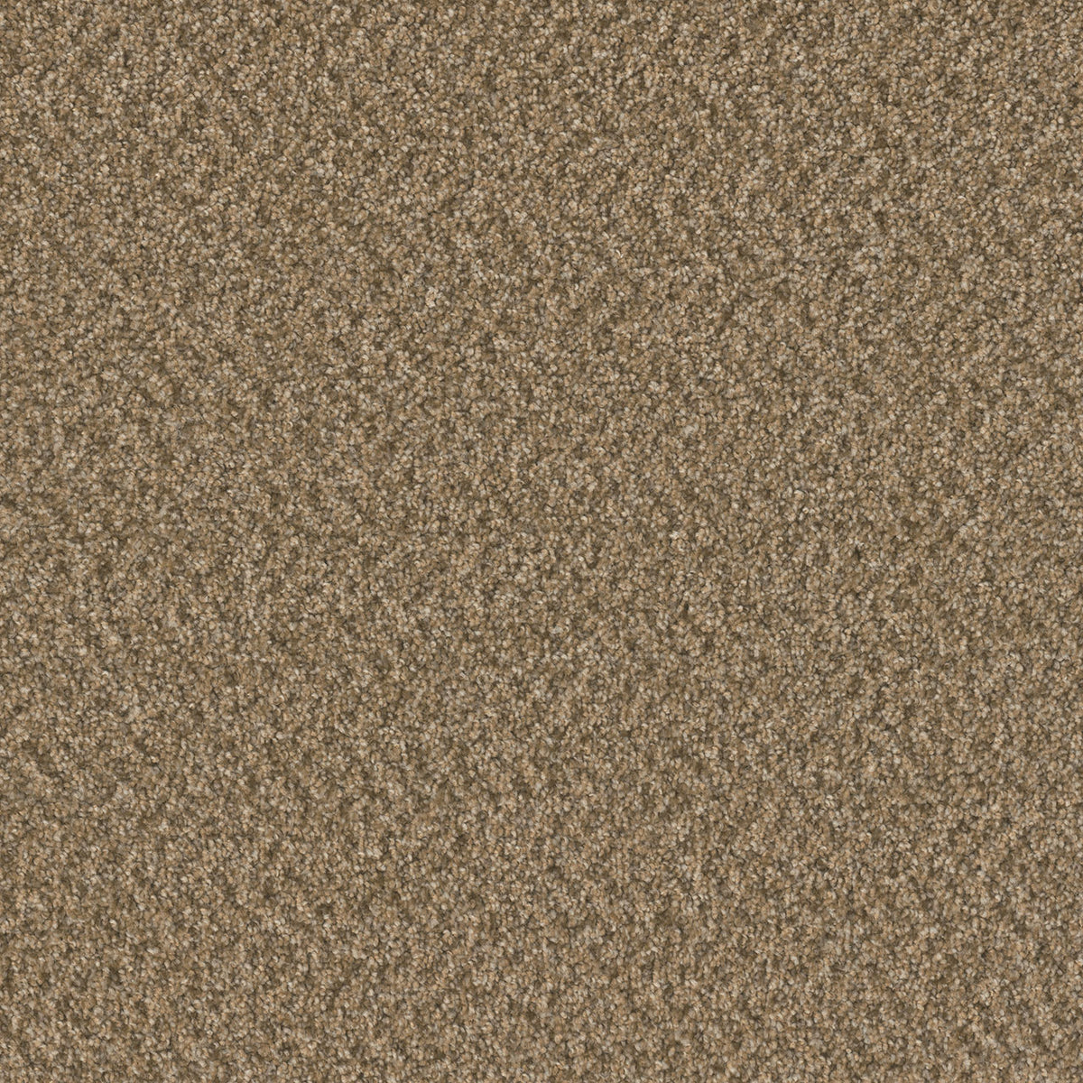 SP251 - Aged Leather - Swatch