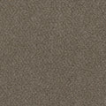 Desert Jasper