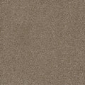 EASY STREET - Acorn - Swatch