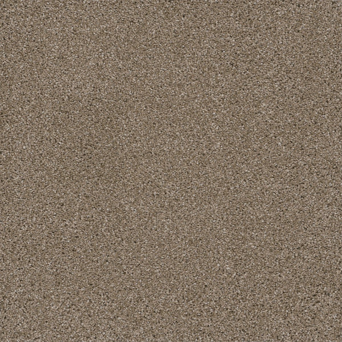 EASY STREET - Acorn - Swatch