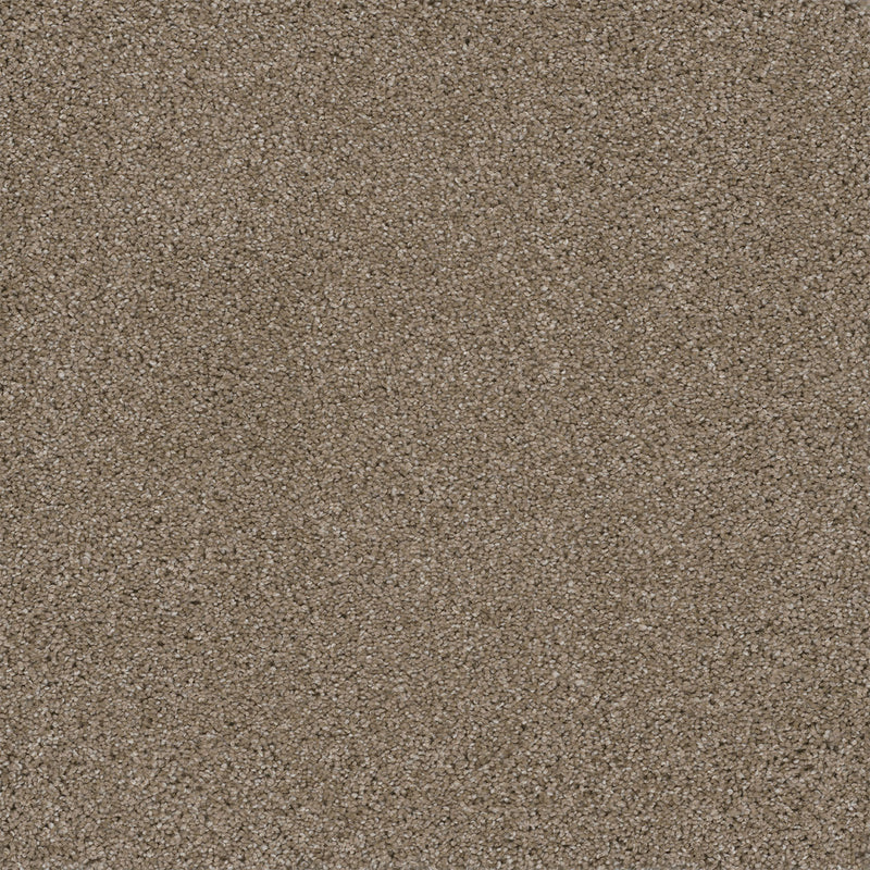 EASY STREET - Acorn - Swatch