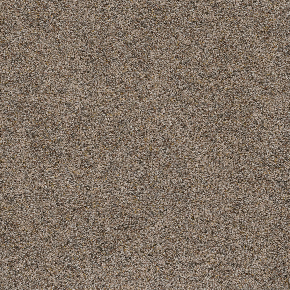 PIECE OF CAKE - Bisque - Swatch