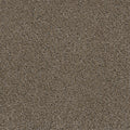 WALK IN THE PARK - Copper Mine - Swatch