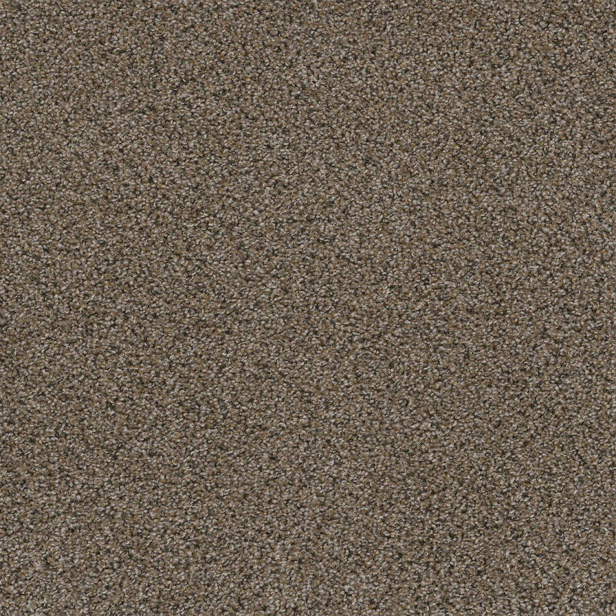 WALK IN THE PARK - Copper Mine - Swatch
