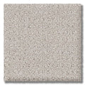 Pewter