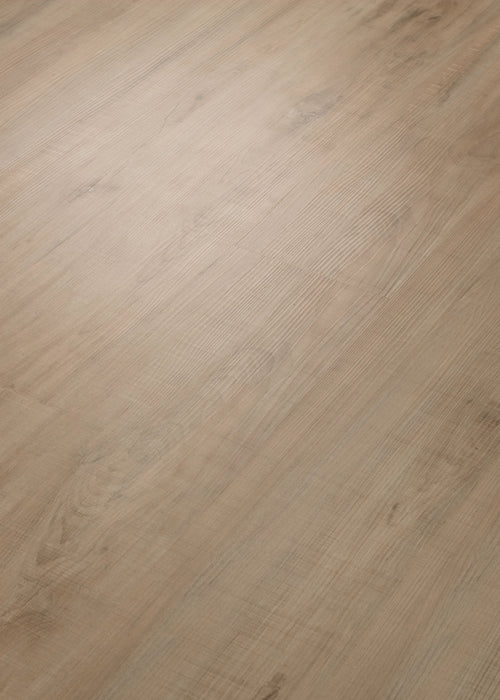 Chatter Oak