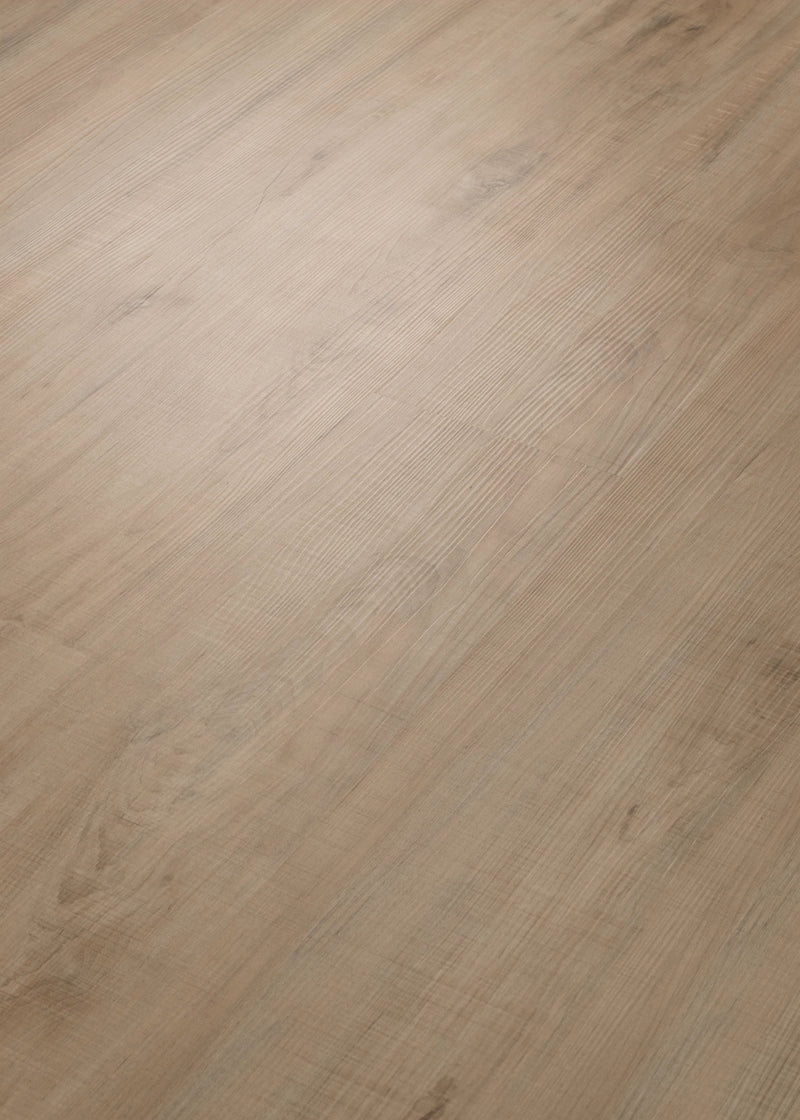 Chatter Oak