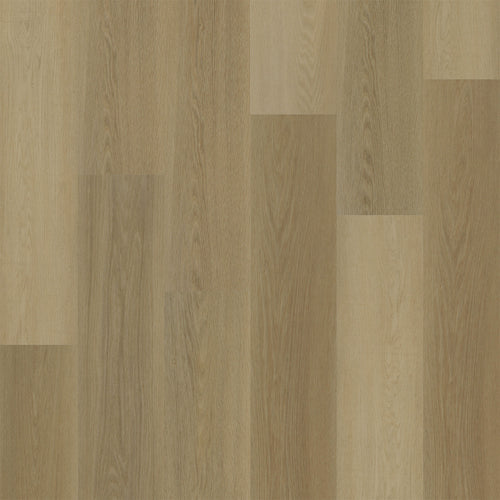 ADVANTAGE - Almond - Swatch