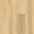 Sycamore